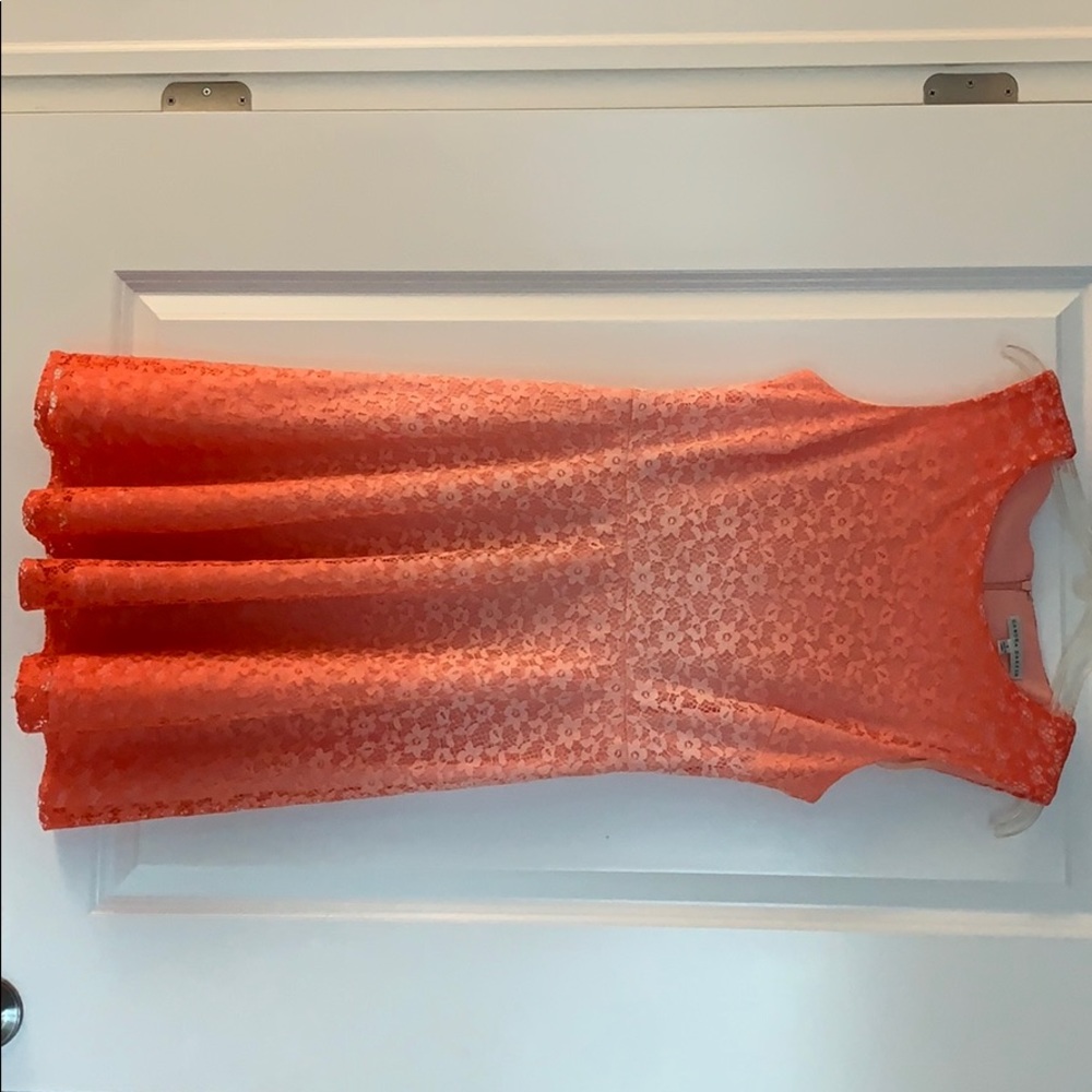 Sandra Darren Dress